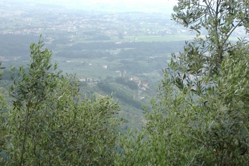 Podere Calistri Larciano Exterior foto